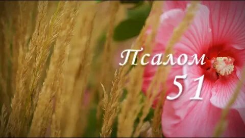 Псалом 51