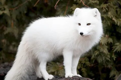 0 2 35 в обыкновенную