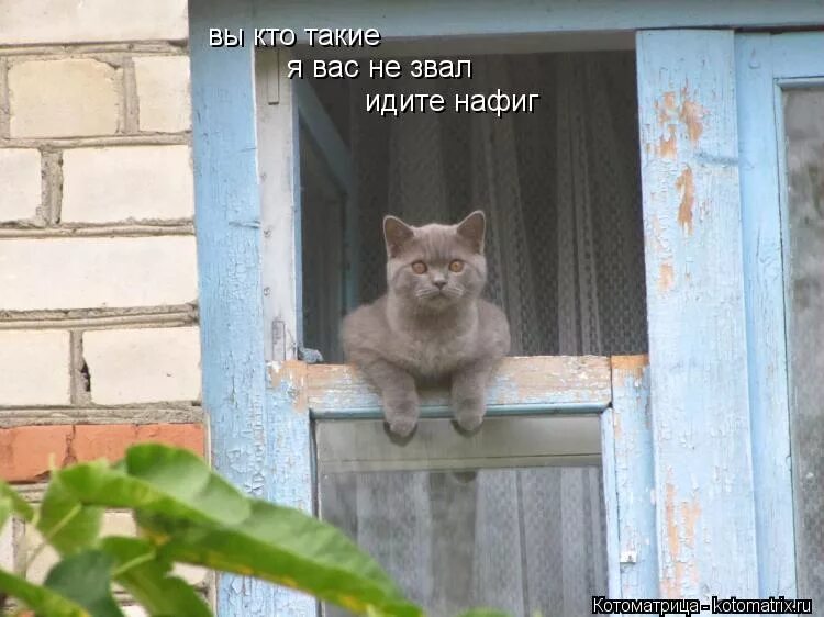 А вы такие. Я вас не звал. вы кто такие фото. кто вы фото. идите нафиг я вас не звал.