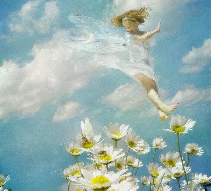 ангел мирный дух небесный светлых радостных. божественный свет. божественный свет. небесные ангелы. ангел мирный дух небесный светлых радостных.