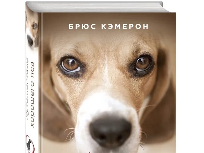 дорога домой фильм 1993. собачья жизнь фильм 2017. брюс кэмерон путешествие хорошего пса. путь домой брюс кэмерон книга. собачья жизнь итан.