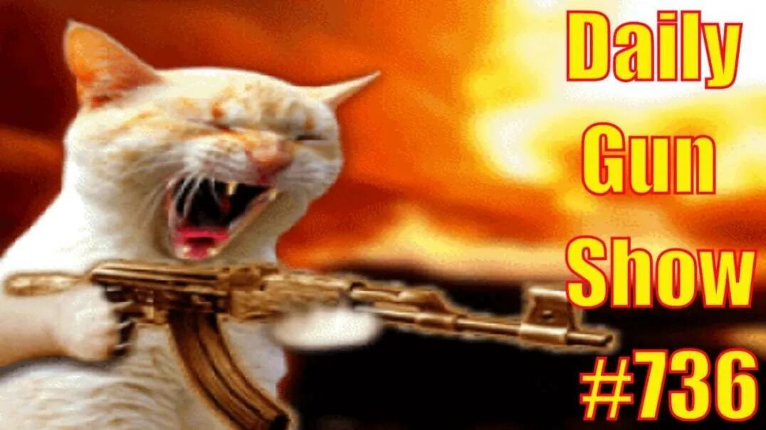 Кот с пистолетом. Котенок с пистолетом. Коты с пистолетами. Котенок с пистолетом. Кот расстреливает.