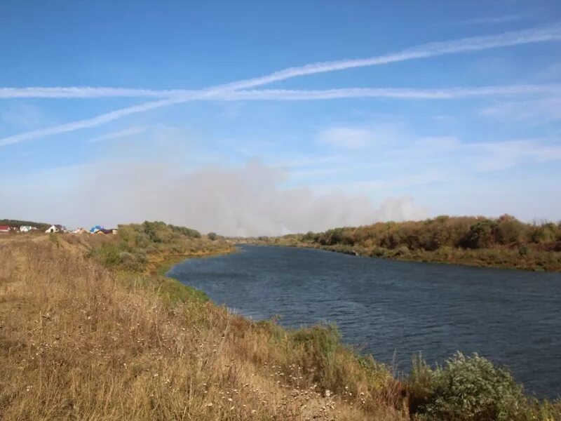 Дом на реке дон. Воронеж Дон река Семилуки. Участок на берегу Дона. Участок у реки Дон. Река в Семилуках Воронежской области.