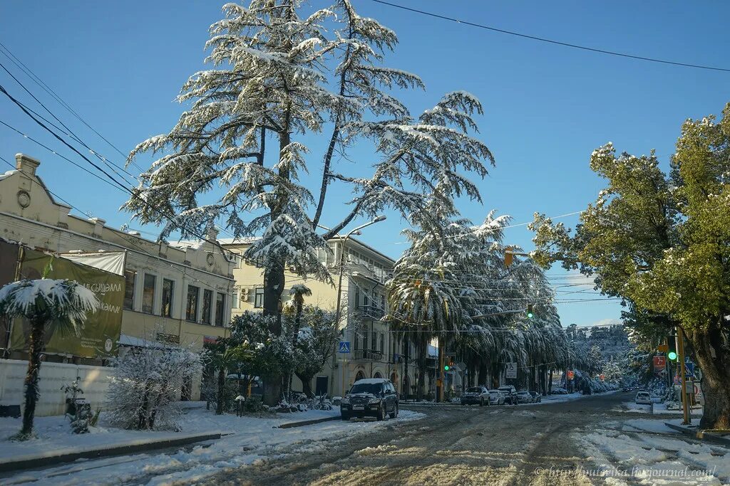 Погода на 10 дней в сухуми абхазия. Сухум Абхазия. Абхазия Сухум зимой. Сухум центр. Сухум набережная зима.