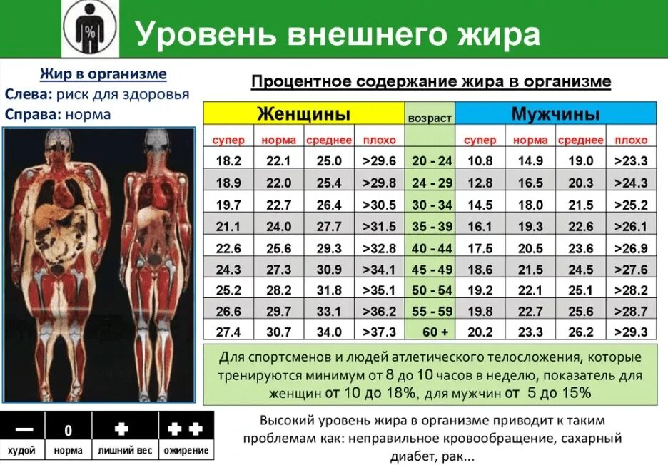 Рассчитать соотношение масс. Нормальные показатели жира воды мышечной массы. скелетная мышечная масса норма. нормы мышечной костной жировой массы.