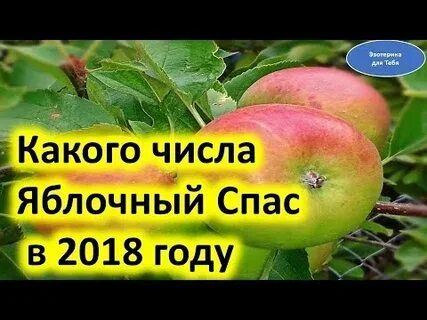Спас 2018 году