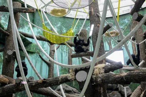 Река замбези казанский зооботанический сад казань