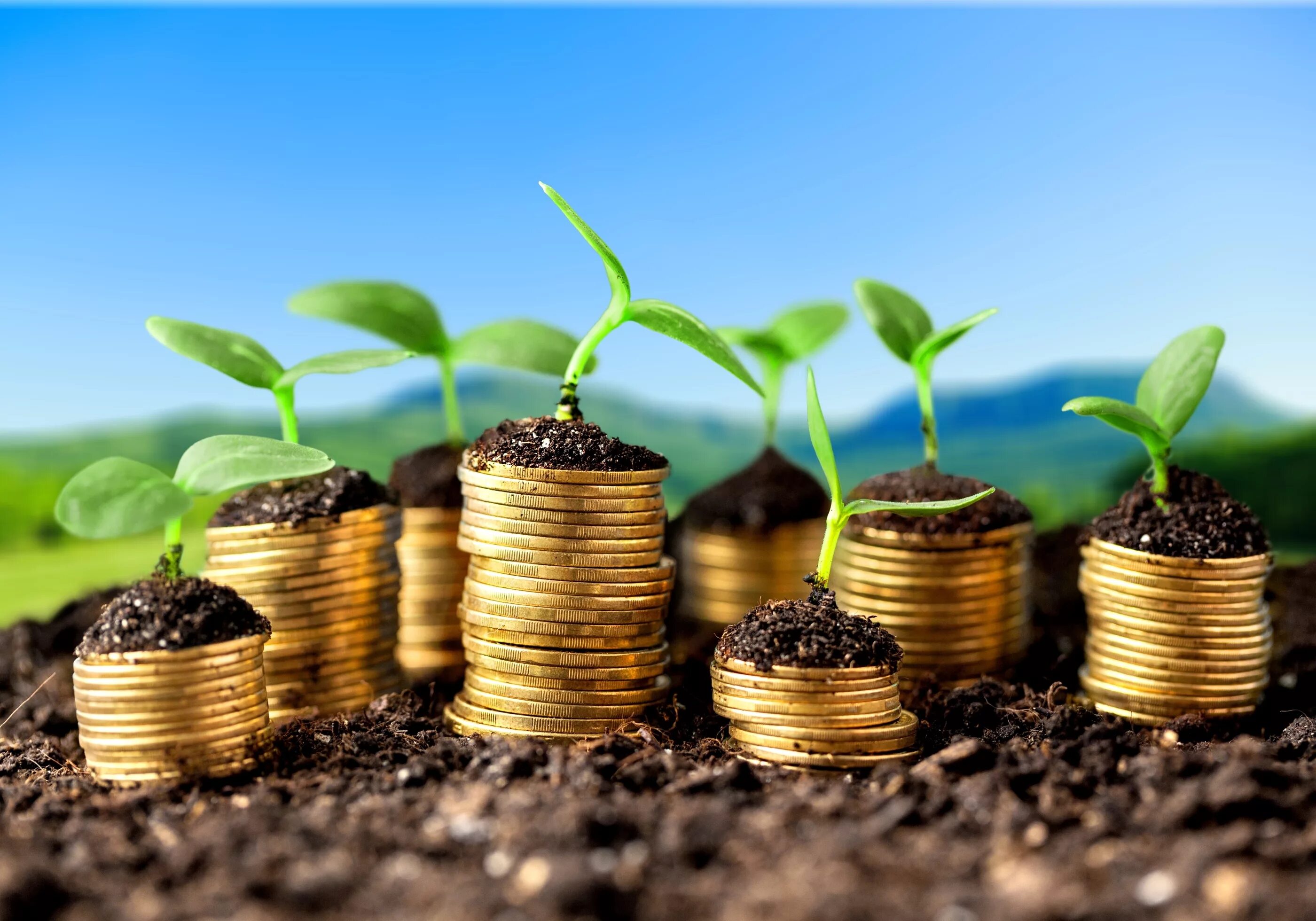 Росток из монет. Богатство и успех. Деньги бюджет. Деньги прибыль. Недвижимость.