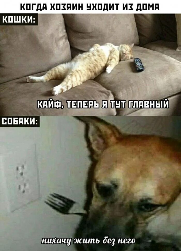 И хозяев и приходящих в