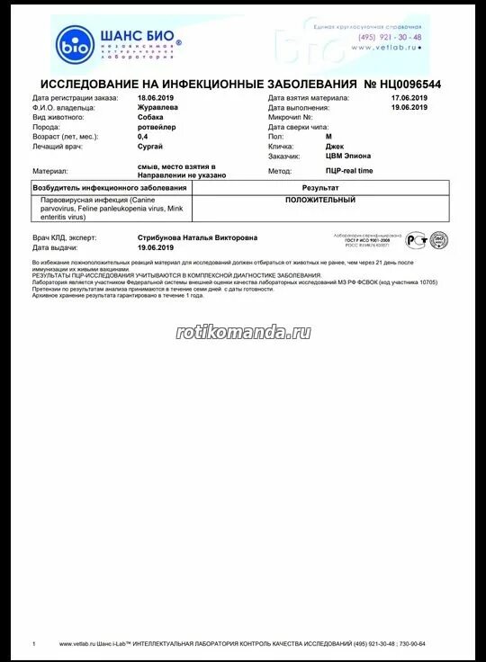 положительный тест на коронавирус хеликс как выглядит. результат лабораторного исследования на коронавирус методом пцр. справка пцр коронавирус. как выглядит тест на коронавирус. положительный пцр тест на коронавирус образец.