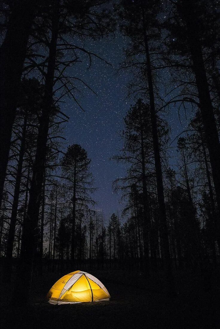 Палатка. Палатка в лесу ночью. Палатка на природе. Палатка на природе ночью. Camping space