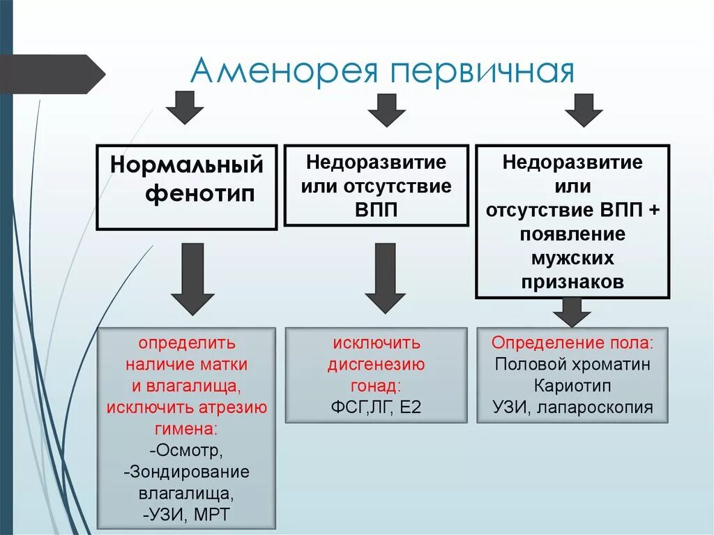 Вторичная аменорея. Аменорея гинекология. Аменорея. Маточная форма аменореи. Маточная аменорея синдром ашермана.