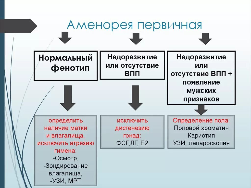 Аменорея симптомы у женщин. Аменорея. Первичная аменорея. Диагноз первичная аменорея. Первичная аменорея патогенез.