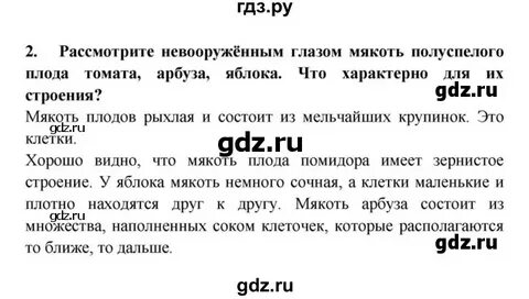 Лабораторная по биологии 5 класс пасечник