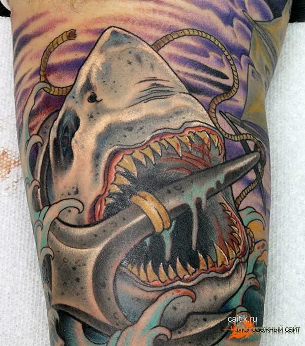 тату акула с открытой пастью. медвежий оскал тату.