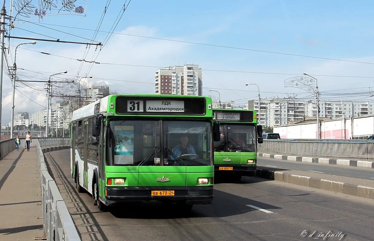 Автобус 31 Красноярск. Автобус 31. МАЗ 103 на каких маршрутах в Новосибирске. 31 автобус яхрома