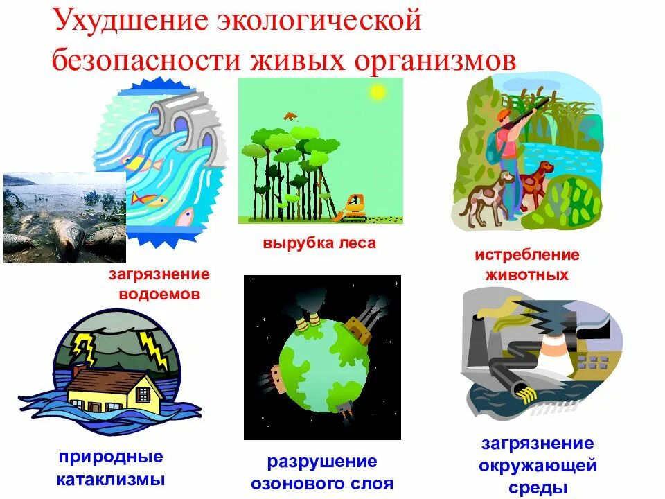 Состояние окружающей мир 3 класс. Экологическая безопасность. Экологическая безопасность презентация. Принципы экологической безопасности. Экололгическа Ябезопасность.