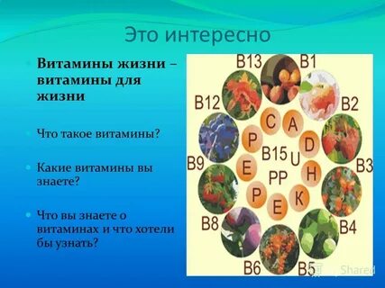 Витамины в жизни животных