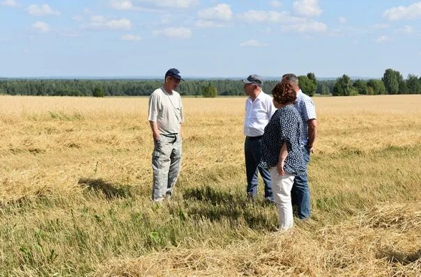 Пагода. Посёлок игра удмуртия. Погода дебы. Прогноз погоды зимой. Церковь васильевское удмуртия.