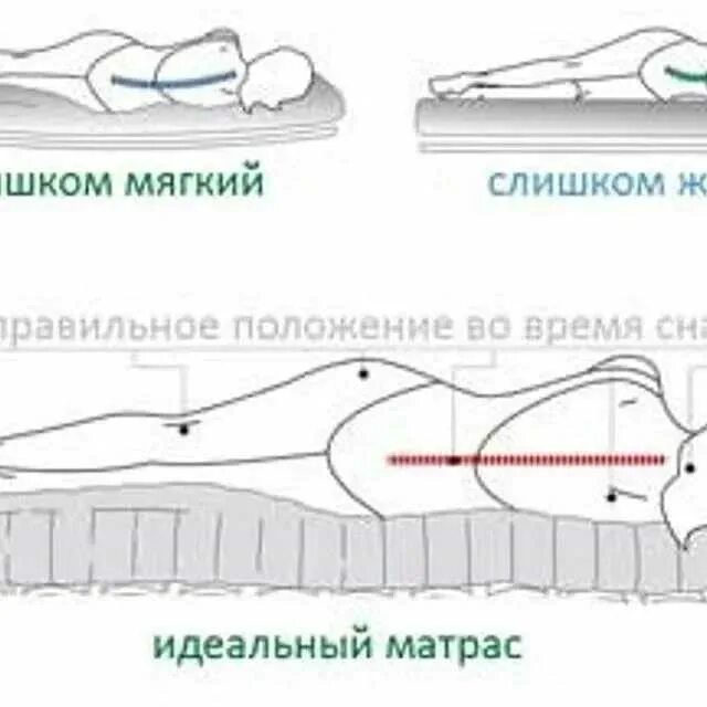 Положение позвоночника на ортопедическом матрасе. Правильный матрас для позвоночника. Правильное положение позвоночника на матрасе. Правильное положение тела на матрасе. Плавный и мягкий