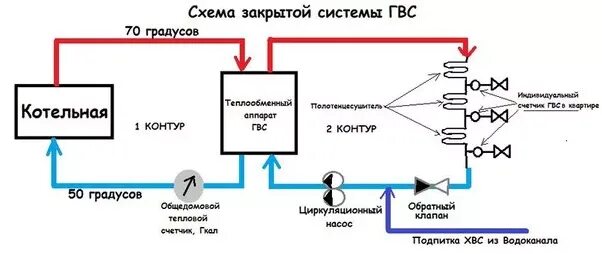 Циркуляционная сеть