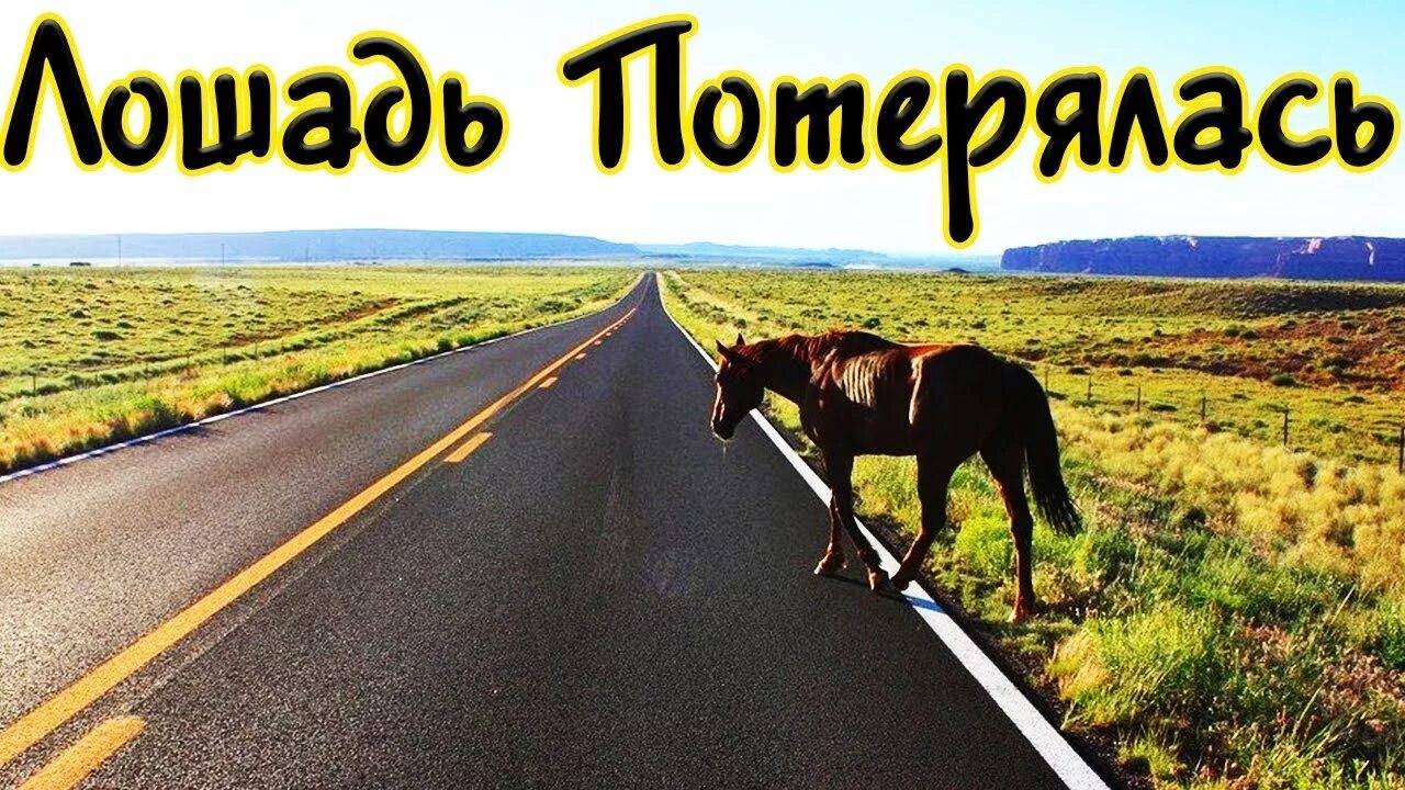 Где коня потеряла. Где коня потеряла. Конь в городе. Налево пойдёшь коня потеряешь сказка. Конь орлик.