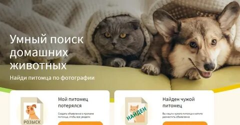 Пропало домашнее животное