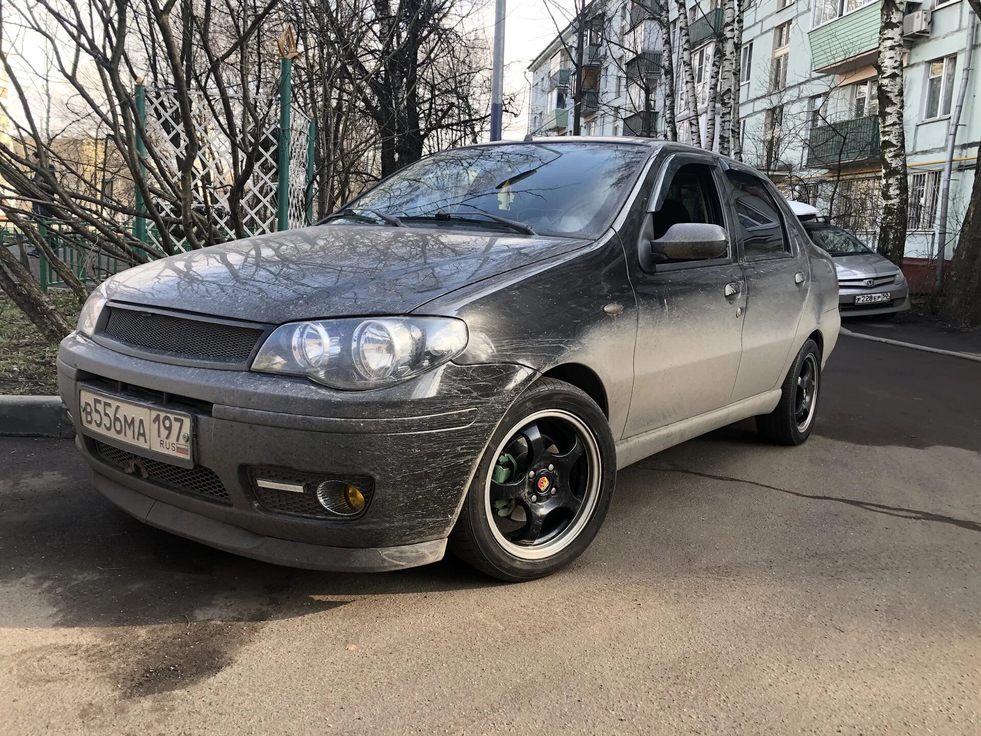 Альбеа/Палио - Фотография 1 из 63 ВКонтакте