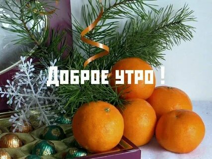 Новый год запах мандаринов