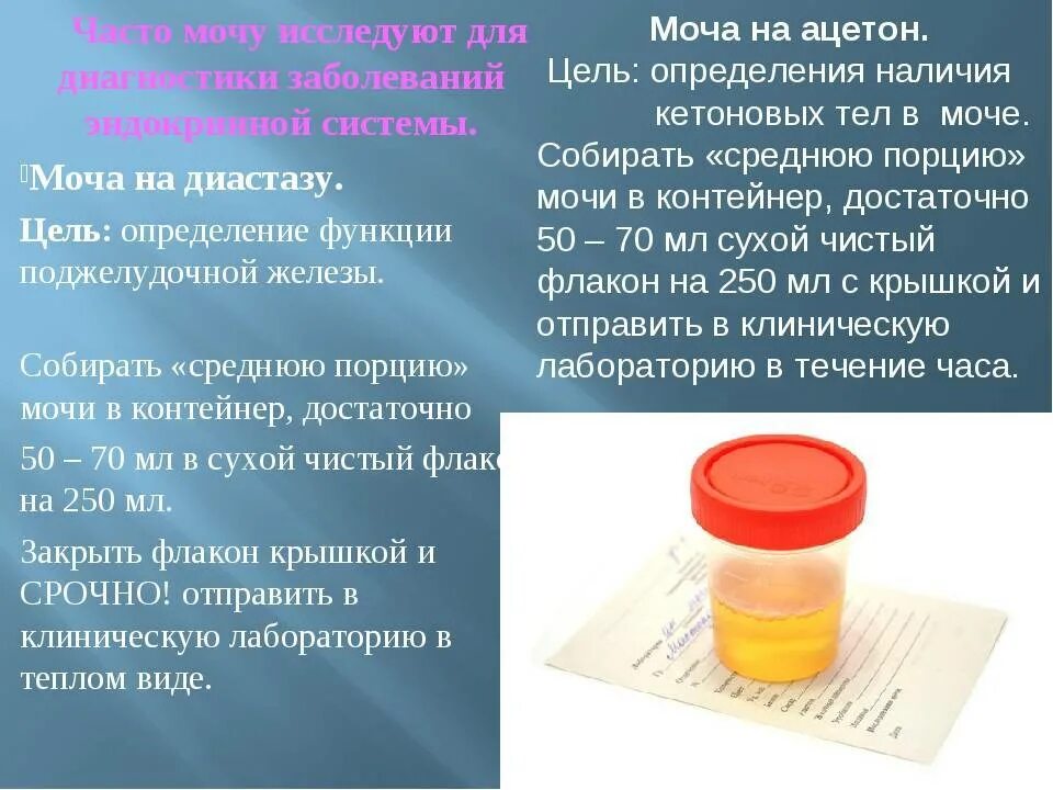 Как правильно собрать суточную мочу на анализ. Анализ мочи на диастазу. моча исследование. моча на диастазу цель исследования. исследование мочи объемы.