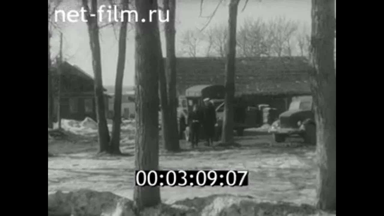 Фок заветы. Колхоз заветы ильича краснодарский край. колхоз заветы ильича михалево. колхоз заветы ильича крым. колхоз заветы ильича лотошинский район.