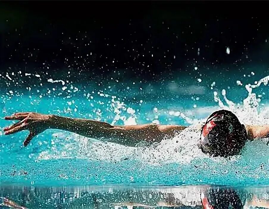 Сауна медуза салават. Плавание баттерфляй соревнования. Банька салават красноармейская. Лотос новокузнецк сауна. Медуза сауна астрахань.