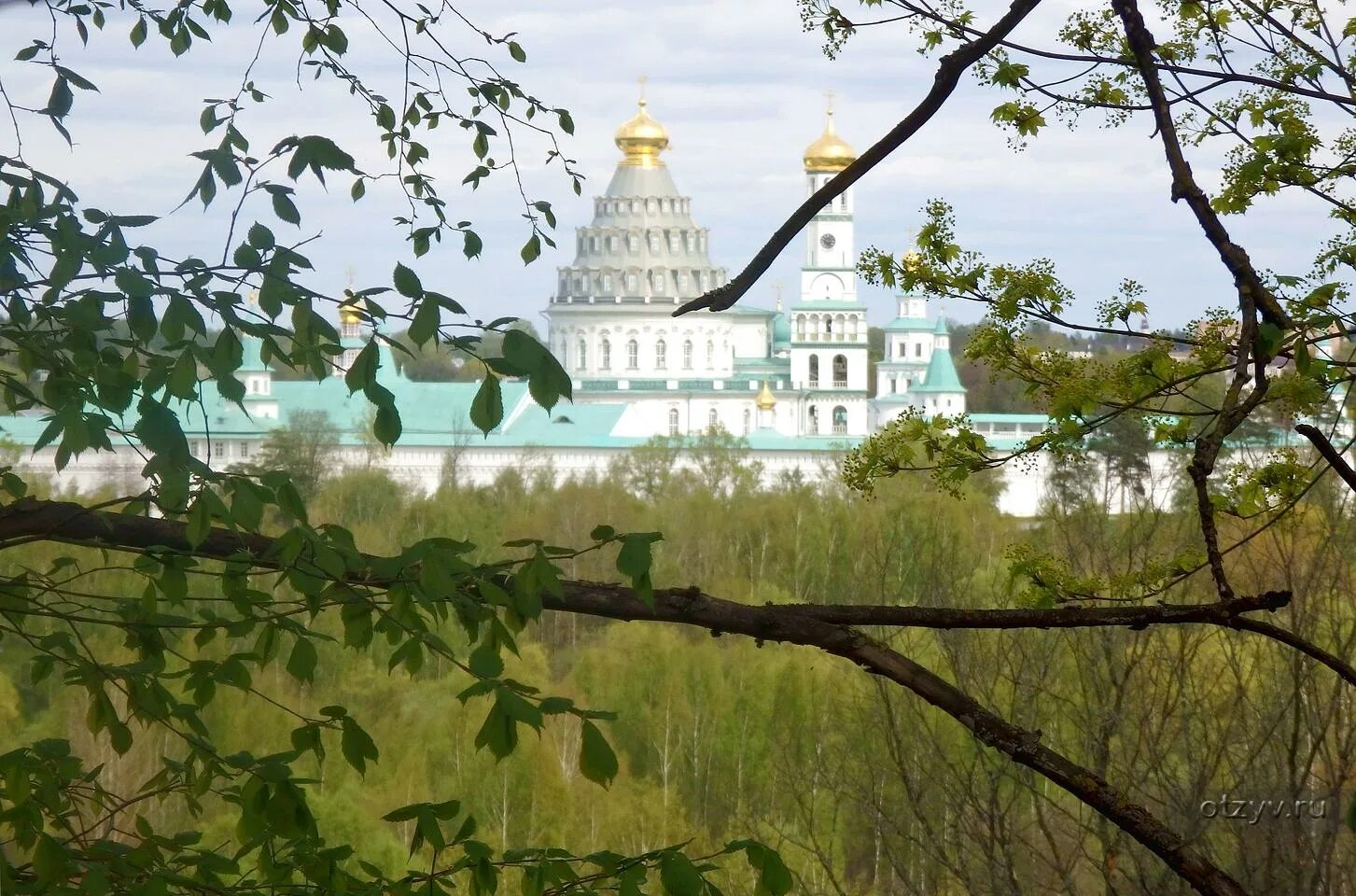 Магазин золото подмосковья. Люберцы осенью. Долгопрудненская осень. Нахабино природа. Золотая осень 2022.