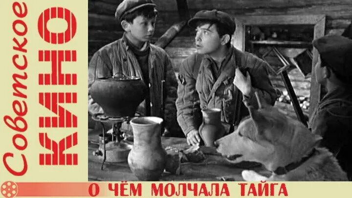 Дороги нет на восемь бед один ответ. Дороги нет на восемь бед один ответ