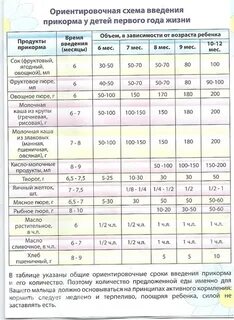 Прикорм правила и сроки