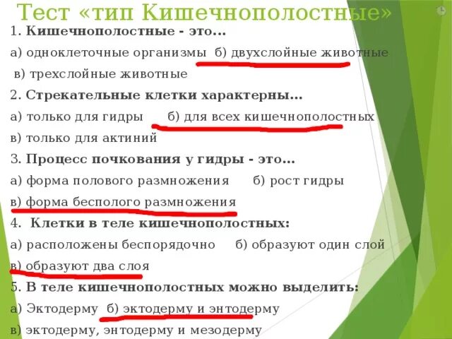 Тесты по червям 7. Кишечнополостные тест. Тип Кишечнополостные тест. Тест по биологии 7 класс Тип Кишечнополостные. Тест Кишечнополостные 7 класс биология.