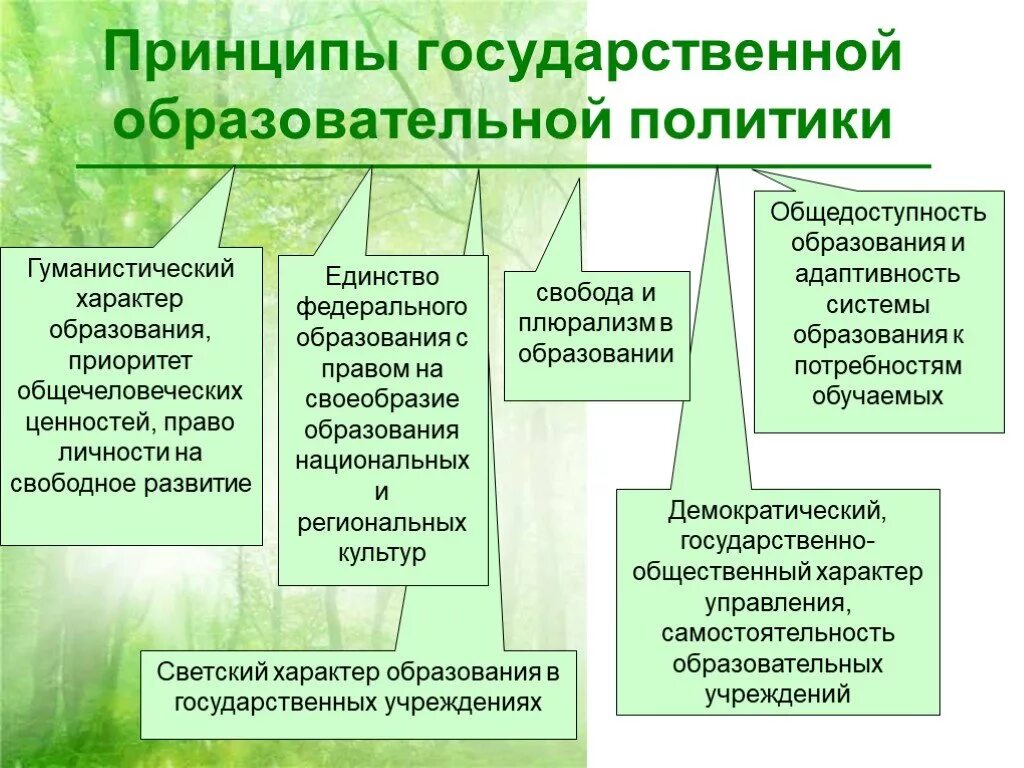 Характер образования рф. Принципы государственной политики в образовании. Принципы гос политики в образовании. Принципы государственной образовательной политики. Современная образовательная политика.