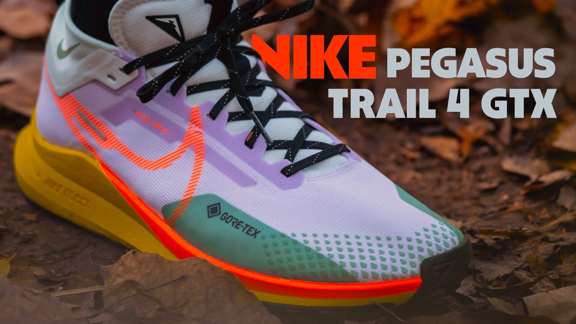 Кроссовки nike pegasus trail 4. Nike Pegasus Trail 4 GTX. Nike Trail 4 GTX. Nike Pegasus Trail 4 Gore-Tex. Nike Pegasus Trail GTX.