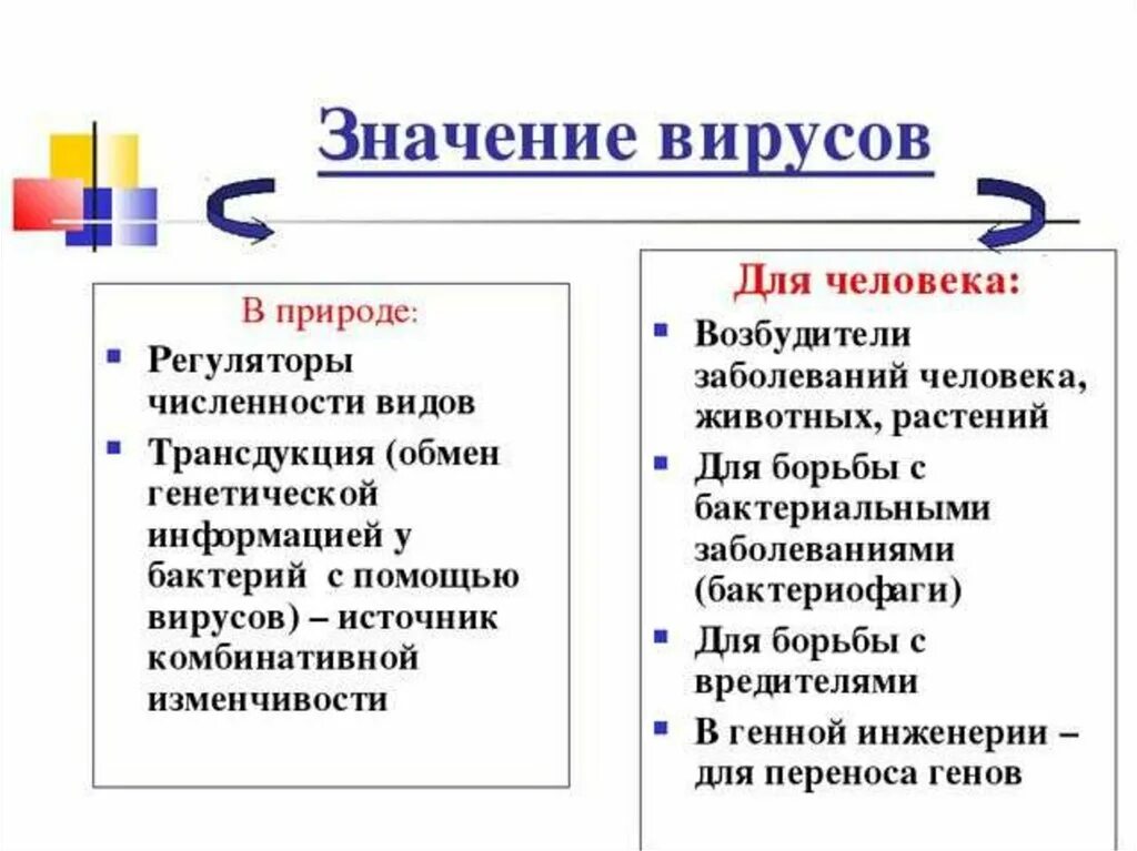 Тест многообразие и значение бактерий и вирусов. Значение вирусов биология 5 класс. Значение бактерий и вирусов в природе и жизни человека. Значение вирусов в природе и жизни человека. Вирусы их значение в природе и для человека.