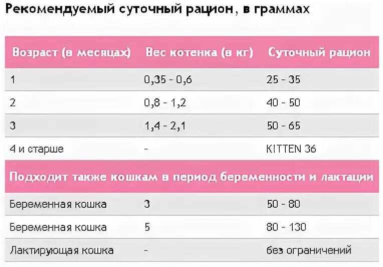 Сколько грамм корма котенку