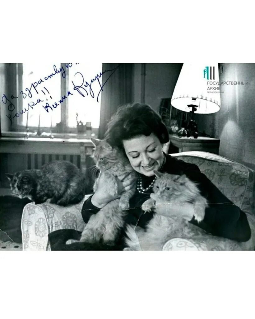 киса писатель