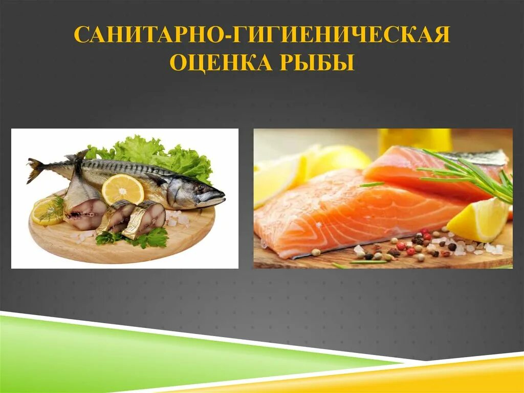 Санитарная оценка рыбы. Органолептическая оценка рыбы и рыбных продуктов. Гигиенические показатели рыбы. Оценка качества рыбы