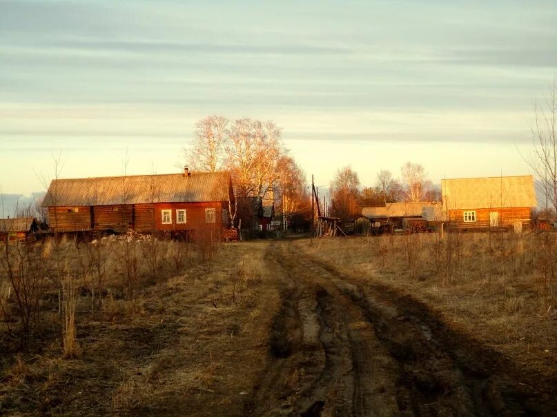 Погода село южное. Одинцовская Шенкурский район. Анзяк деревня. Село Шеговары. Шеговары Архангельская область.