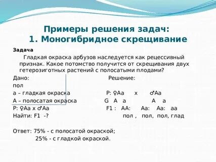 Практическая работа решение задач на моногибридное скрещивание