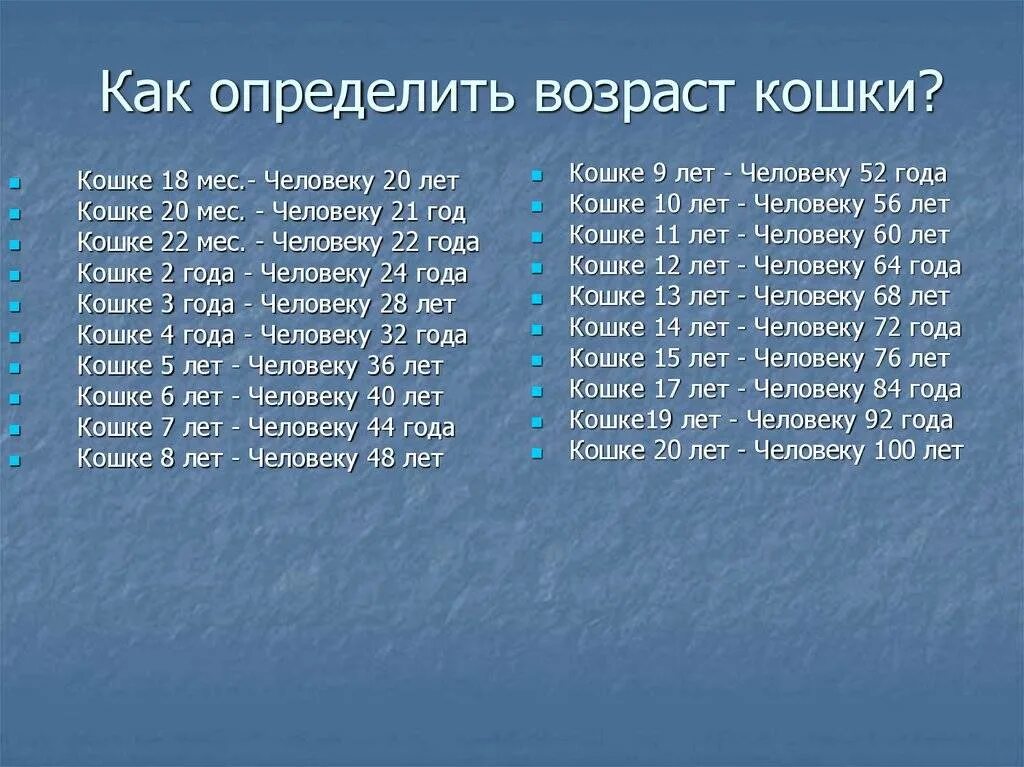 Определить возраст книги. Как определить Возраст кошки. Как узнать Возраст кошки. Возраст кошки по весу. Как узнать Возраст кошки по весу.