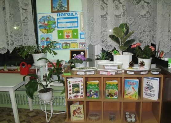 Уголок природы в детском саду. Уголок экологии в детском саду. Центр природы в детском саду. Экологический уголок в детском. Уголок природы в детском саду.