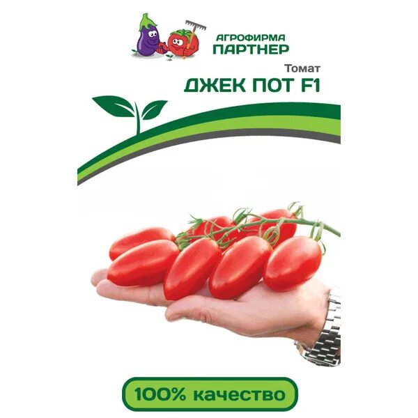 ВЫ ПРОСТО ОБЯЗАНЫ ПОСАДИТЬ ЭТОТ ТОМАТ У СЕБЯ НА УЧАСТКЕ! ТОМАТ НОВИНКА ДЖЕК ПОТ