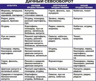 Что садить после перца на следующий
