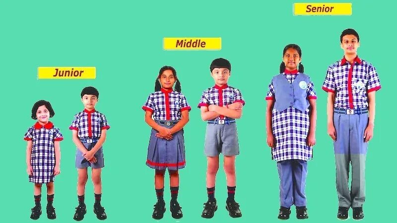 Градация джуниор мидл сеньор. Джуниор мидл сеньор. Middle разработчик. Middle разработчик. Middle разработчик.