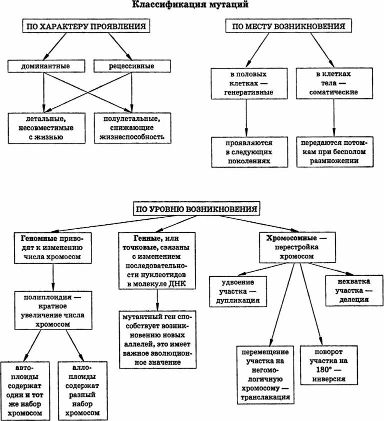 Классификация мутаций по уровню возникновения таблица. Классификация мутаций таблица с примерами. Классификация мутаций схема. )Классификация мутаций по месту возникновения схема.